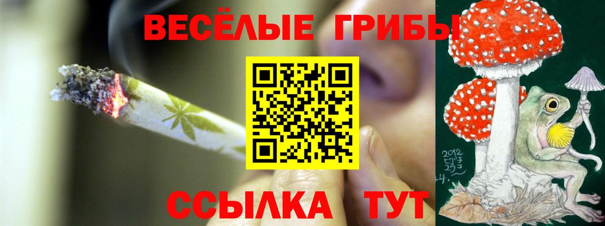 Псилоцибиновые грибы прущие грибы  Вход с VPN  Клин 